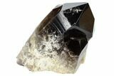 Dark Smoky Quartz Crystal Cluster - Brazil #119573-2